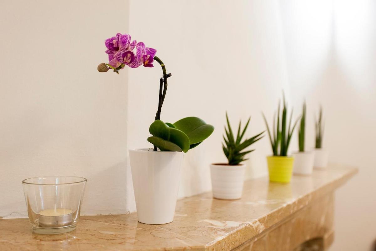 Ginjinha House - 4 Rooms - Bairro Alto - With Ac! Lisbon Exterior photo